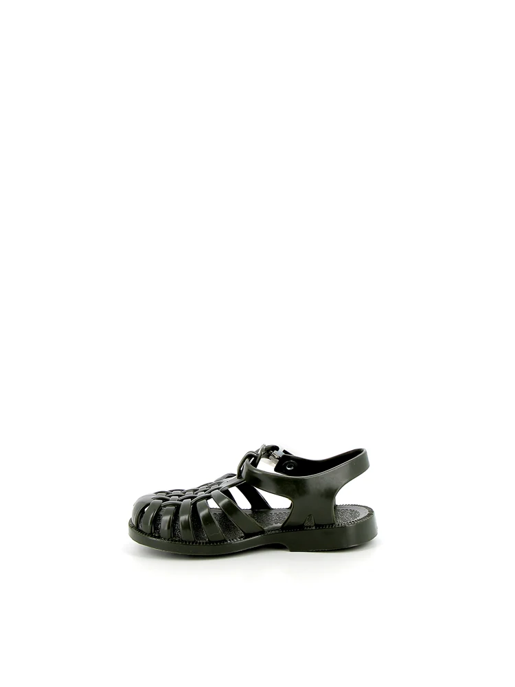 Sun Kaki - Image 4