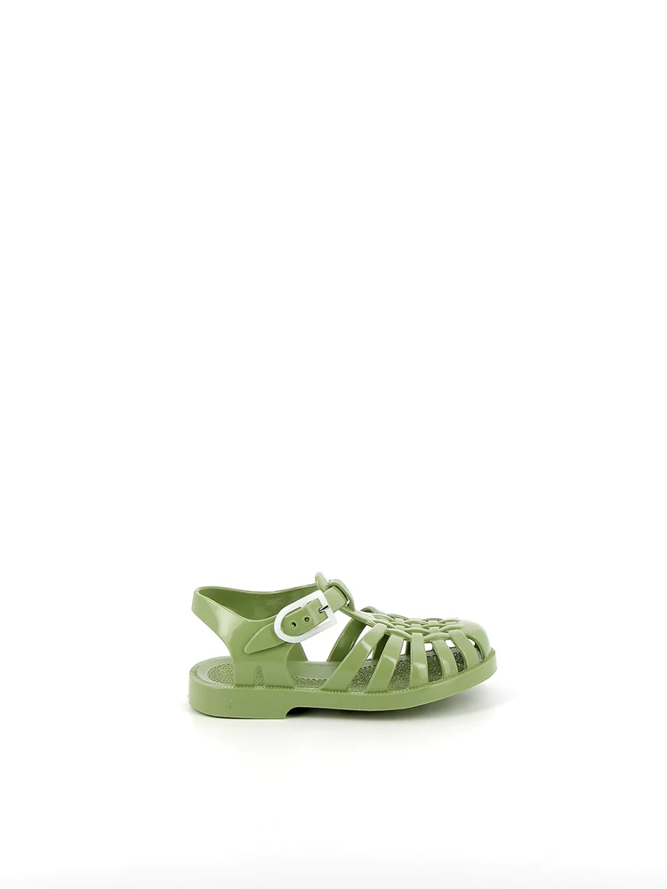 Sun Olive