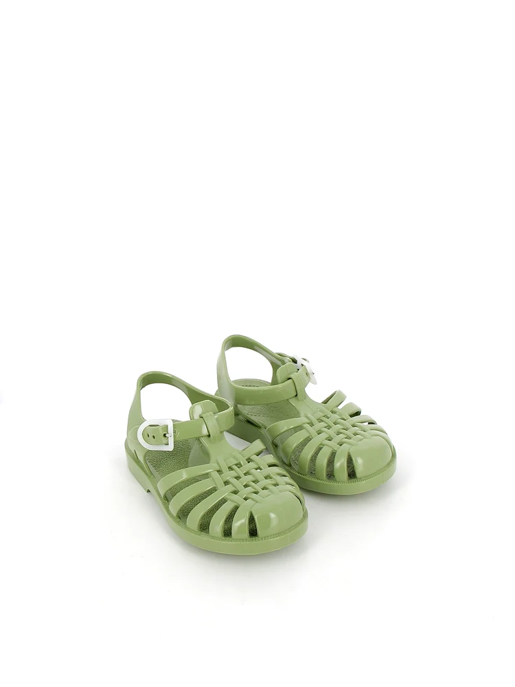 Sun Olive - Image 3