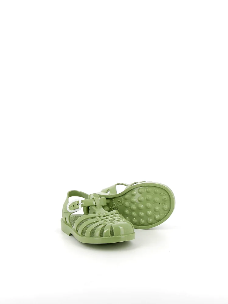 Sun Olive - Image 4