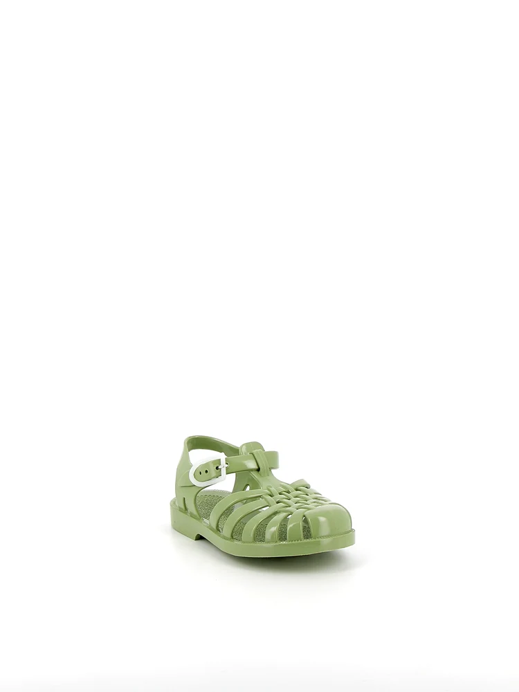Sun Olive - Image 5