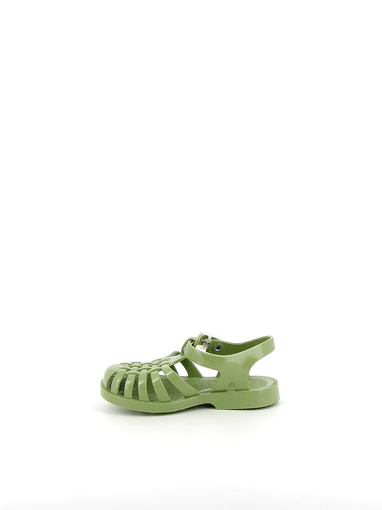 Sun Olive - Image 7