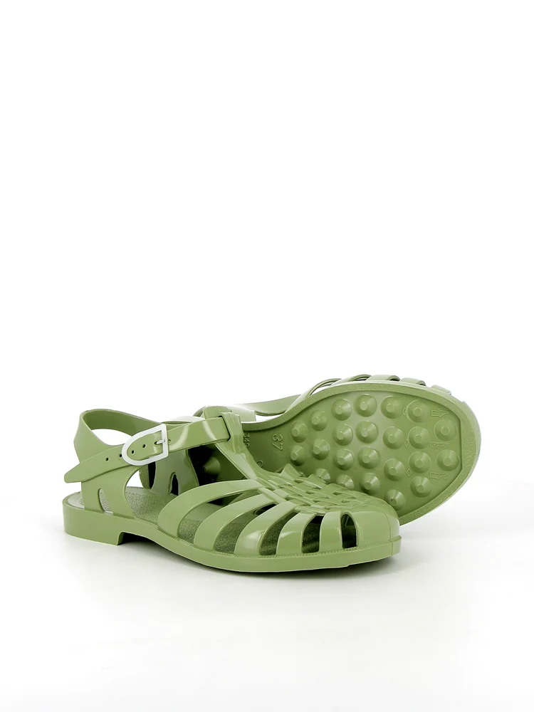 Sun Olive - Image 3