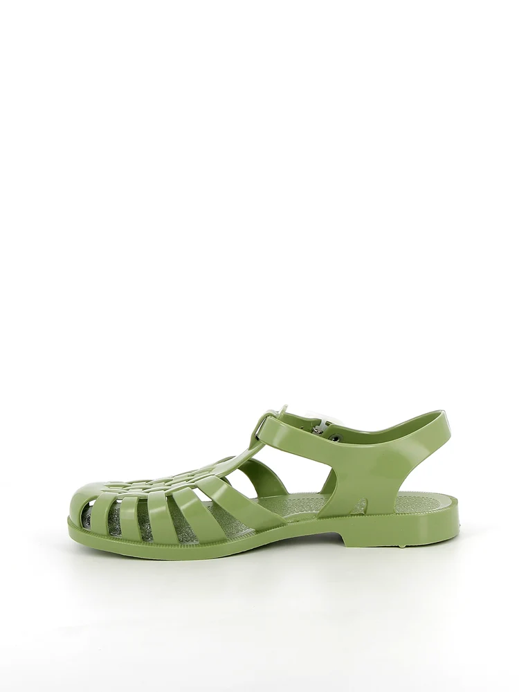 Sun Olive - Image 4