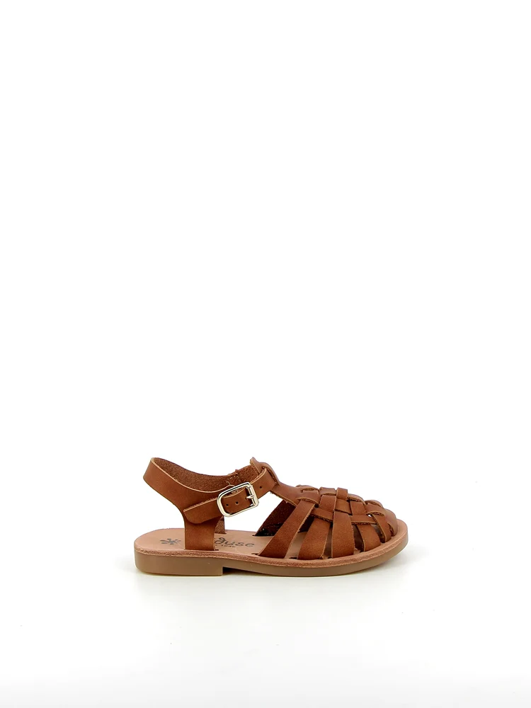 Sunshine Cognac