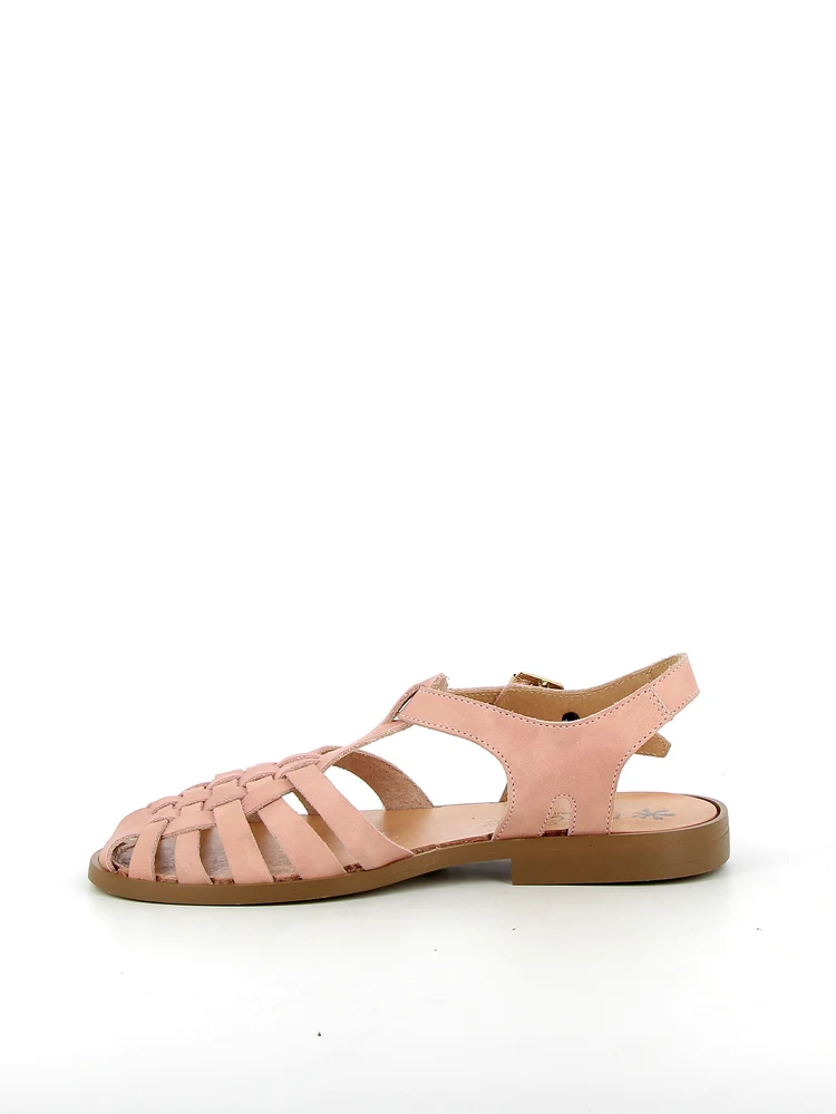 Sunville Rose - Image 4
